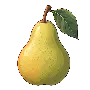 birne.png